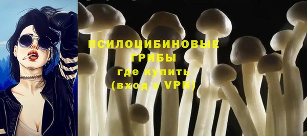 прущие крисы Богородицк