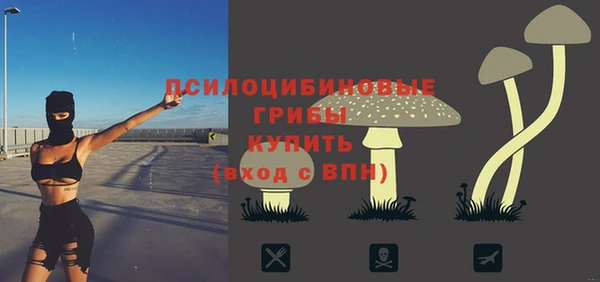 прущие крисы Богородицк