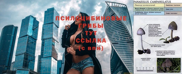 jwh Богородск