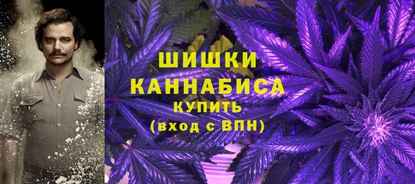 прущие крисы Богородицк
