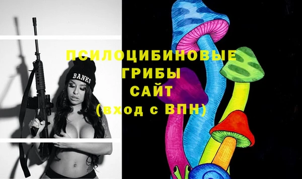 jwh Богородск
