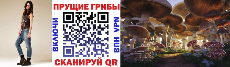 сайты даркнета наркотические препараты  Липецк  Галлюциногенные грибы прущие грибы 